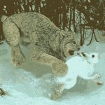 Profile picture of Doug